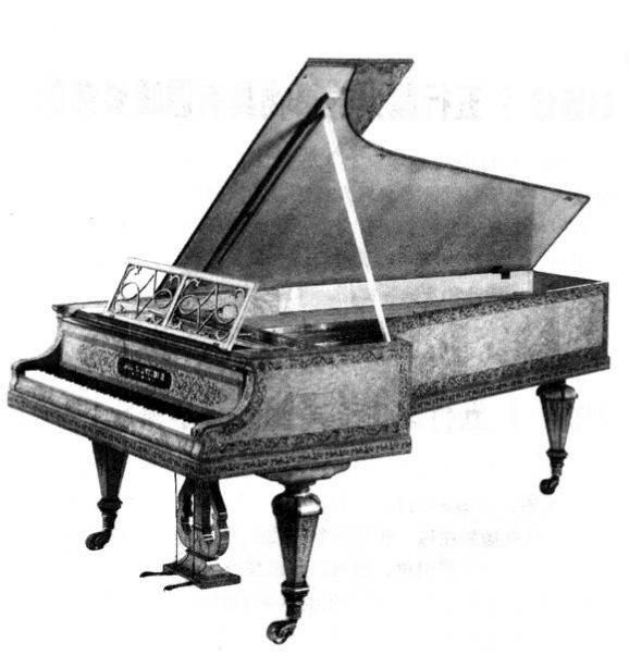 image 27