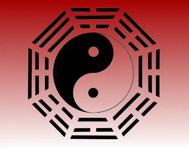 taiji 2